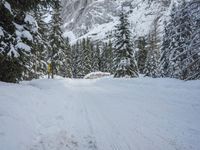 snow and fir trees are lining a ski slope in the mountainside area of evergreen forest, with a snowy slope on the other side