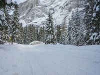snow and fir trees are lining a ski slope in the mountainside area of evergreen forest, with a snowy slope on the other side