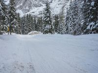snow and fir trees are lining a ski slope in the mountainside area of evergreen forest, with a snowy slope on the other side