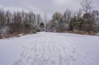 a wide open field that has tracks in snow on it with trees, and bushes