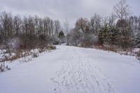 a wide open field that has tracks in snow on it with trees, and bushes