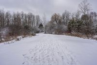 a wide open field that has tracks in snow on it with trees, and bushes