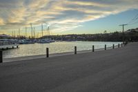 Dawn on the Coastal Landscape: Nature at the Beach