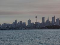 Dawn Coastal Landscape: Ocean Skyline and Open Space