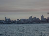 Dawn Coastal Landscape: Ocean Skyline and Open Space