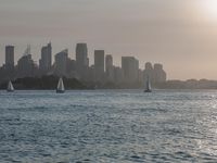 Dawn Coastal Landscape: Ocean Skyline and Open Space