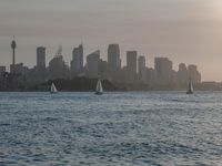 Dawn Coastal Landscape: Ocean Skyline and Open Space