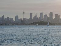 Dawn Coastal Landscape: Ocean Skyline and Open Space