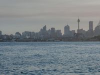 Dawn Coastal Landscape: Ocean Skyline and Open Space