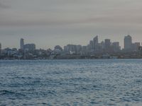 Dawn Coastal Landscape: Ocean Skyline and Open Space