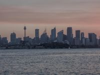 Dawn Coastal Landscape: Ocean Skyline and Open Space