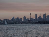 Dawn Coastal Landscape: Ocean Skyline and Open Space