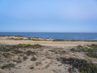 Dawn Coastal Plain in Portugal Landscape 001