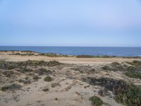 Dawn Coastal Plain Portugal Landscape 002