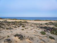 Dawn Coastal Plain Portugal Landscape