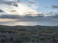 Dawn on the Coastal Road in California, USA