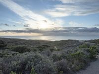 Dawn on the Coastal Road in California, USA