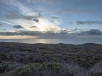 Dawn on the Coastal Road in California, USA