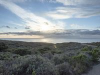 Dawn on the Coastal Road in California, USA