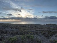 Dawn on the Coastal Road in California, USA