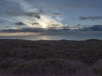 Dawn on the Coastal Road in California, USA