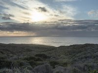 Dawn on the Coastal Road in California, USA