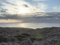 Dawn on the Coastal Road in California, USA