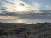 Dawn on the Coastal Road in California, USA