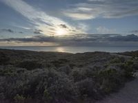 Dawn on the Coastal Road in California, USA