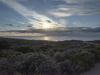 Dawn on the Coastal Road in California, USA