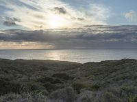 Dawn on the Coastal Road in California, USA