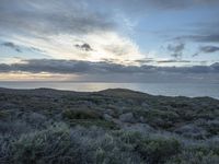 Dawn on the Coastal Road in California, USA