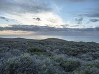 Dawn on the Coastal Road in California, USA