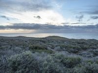 Dawn on the Coastal Road in California, USA