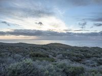 Dawn on the Coastal Road in California, USA