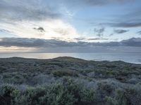 Dawn on the Coastal Road in California, USA