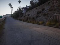 a road leading to palm trees, rock walls, and homes near a city street