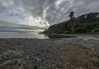 Dawn Coastline: A Melancholic Scene with a Grey Sky