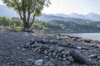 rocks on the shore of a lake in front of mountains and trees in the distance is a bench on the rocks