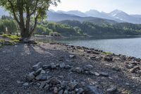 rocks on the shore of a lake in front of mountains and trees in the distance is a bench on the rocks