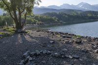 rocks on the shore of a lake in front of mountains and trees in the distance is a bench on the rocks