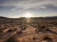 there is the sun coming up in a desert area near many bushes and dirt trails