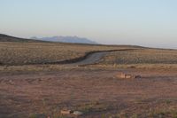 an elephant is walking around in the desert near rocks and a road going past it