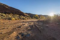 a dirt road leading through the wilderness at sunset or sunrise time with sunlight peeking through it