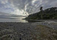 Dawn on a Dirt Road: Coastal Landscape View