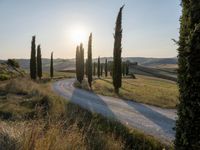 Dawn on a Dirt Road in Tuscany, Italy