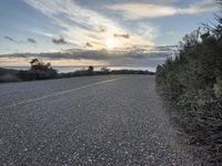 a paved road next to the ocean with no cars and trees and shrubs in front