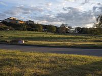 Dawn Drive: California's Beautiful Asphalt Road