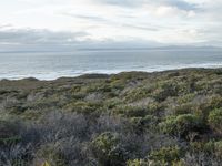 a view of the ocean and a beach from the cliffs in the distance, near a trail