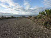 Dawn Drive California Coastline Ocean View 001